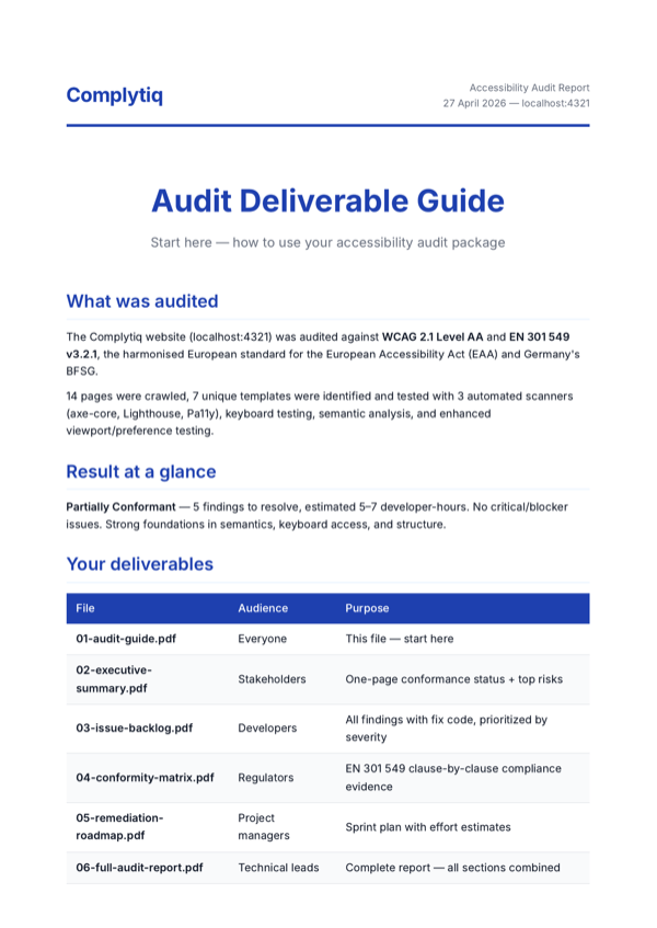 Audit guide